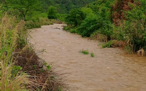 學(xué)校安全生活飲水